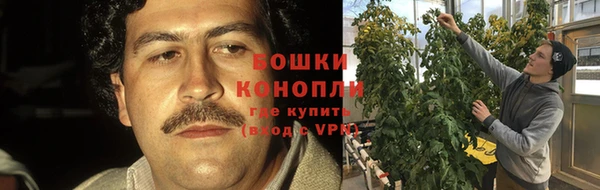 героин Богданович