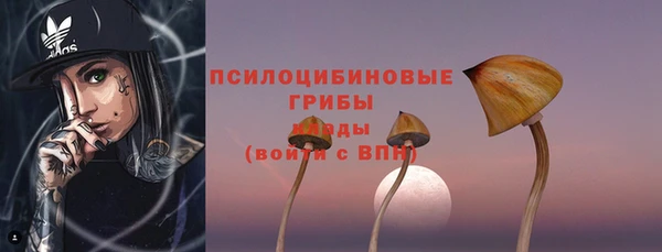 a pvp Богородск