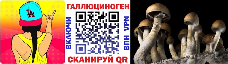 Галлюциногенные грибы Magic Shrooms  купить  сайты  OMG tor  Мезень 